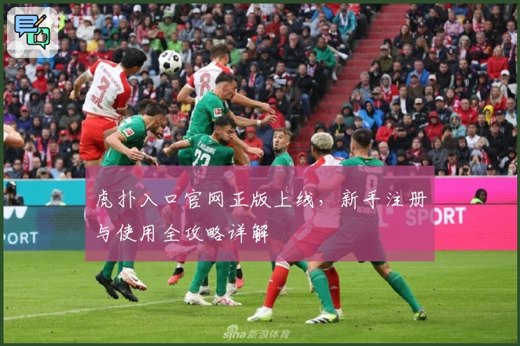 虎扑入口官网正版上线，新手注册与使用全攻略详解