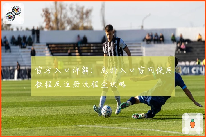 官方入口详解：虎扑入口官网使用教程及注册流程全攻略